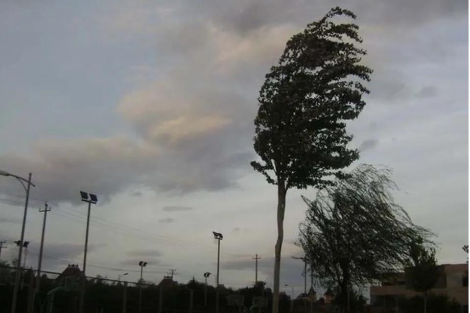 1618622407793869oYtq.jpg 1618622407793869oYtq.jpg